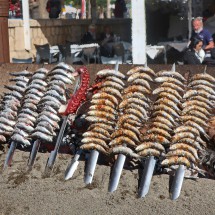 Fish on the beach